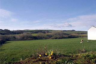 Tirglyn Farm