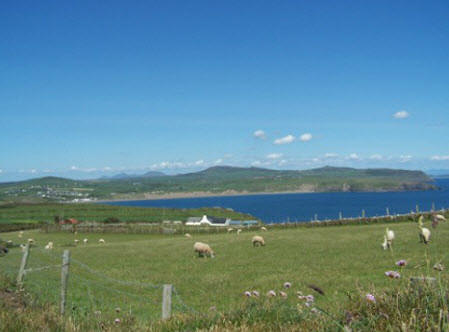 Coastal Path